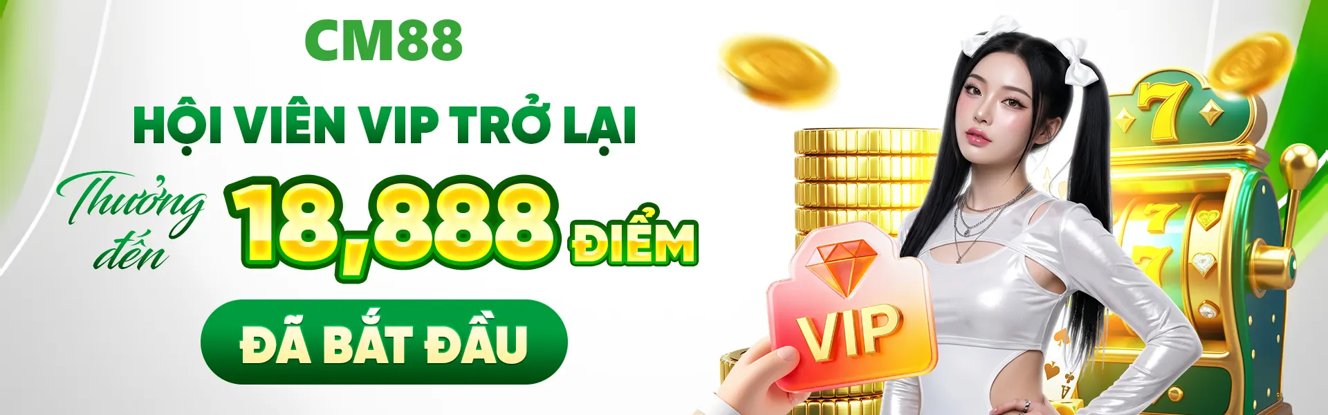 banner cm88 yashraj